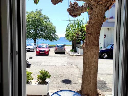 Pel House — 4-Star Luxury Hotel in Nafpaktos, Greece