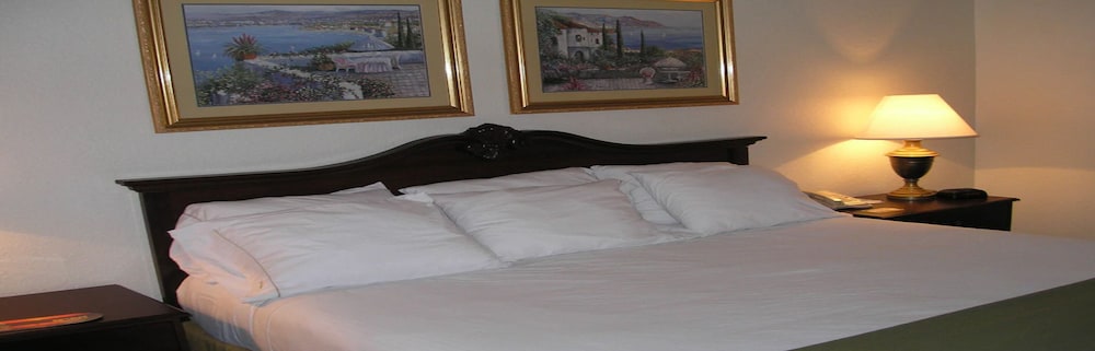 Ruskin Inn Hotel - photo 13