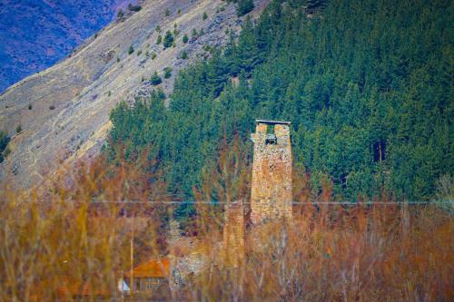 Cottage Aisi კოტეჯი აისი