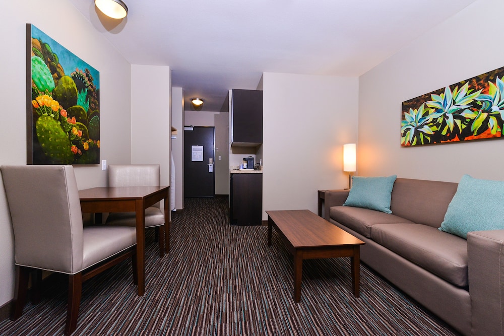 Holiday Inn Express & Suites Indio Coachella Valley by IHG - photo 26