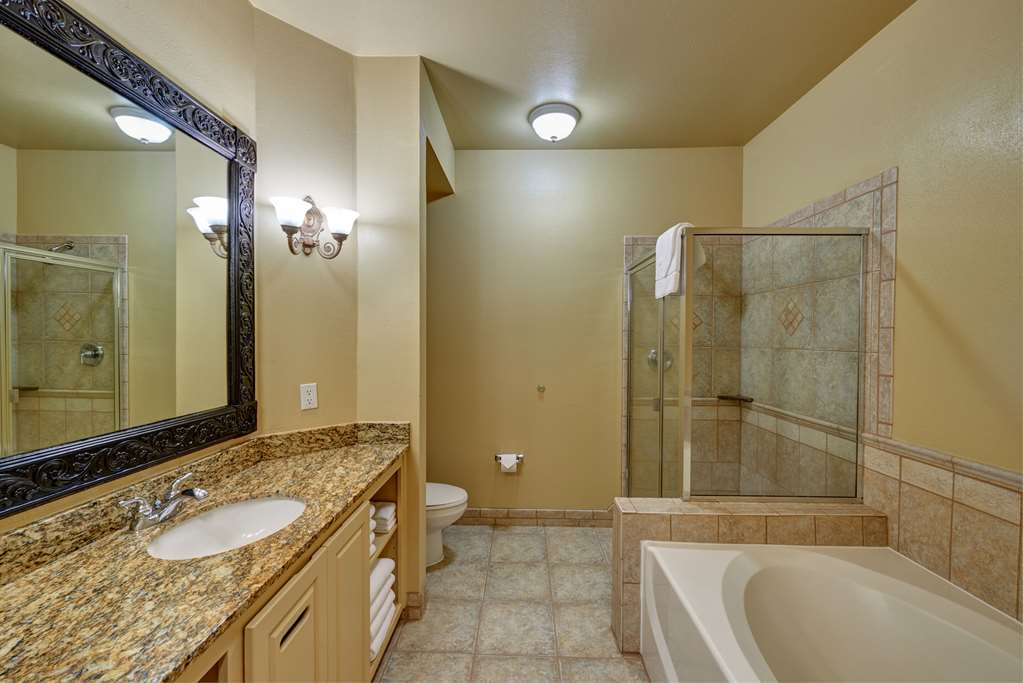 Radisson Hotel El Paso Airport - photo 7