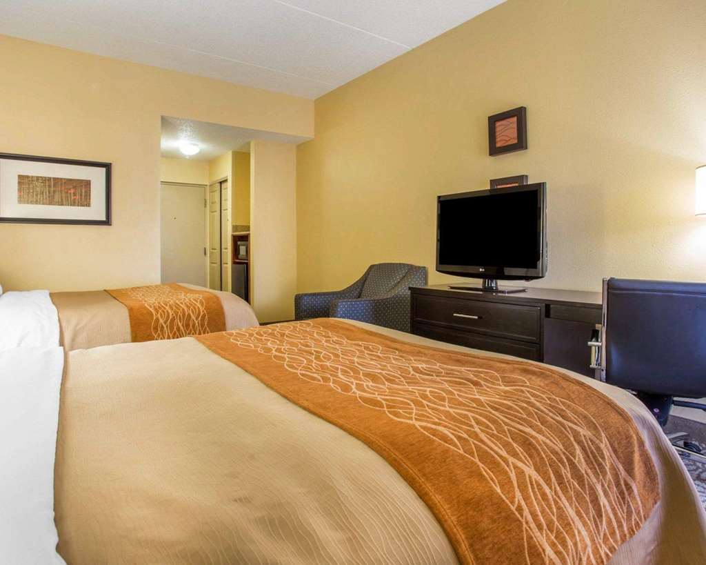 Comfort Inn & Suites at Stone Mountain - photo 16