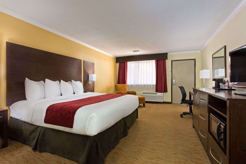 Ramada by Wyndham Tampa Westshore Airport South - photo 32
