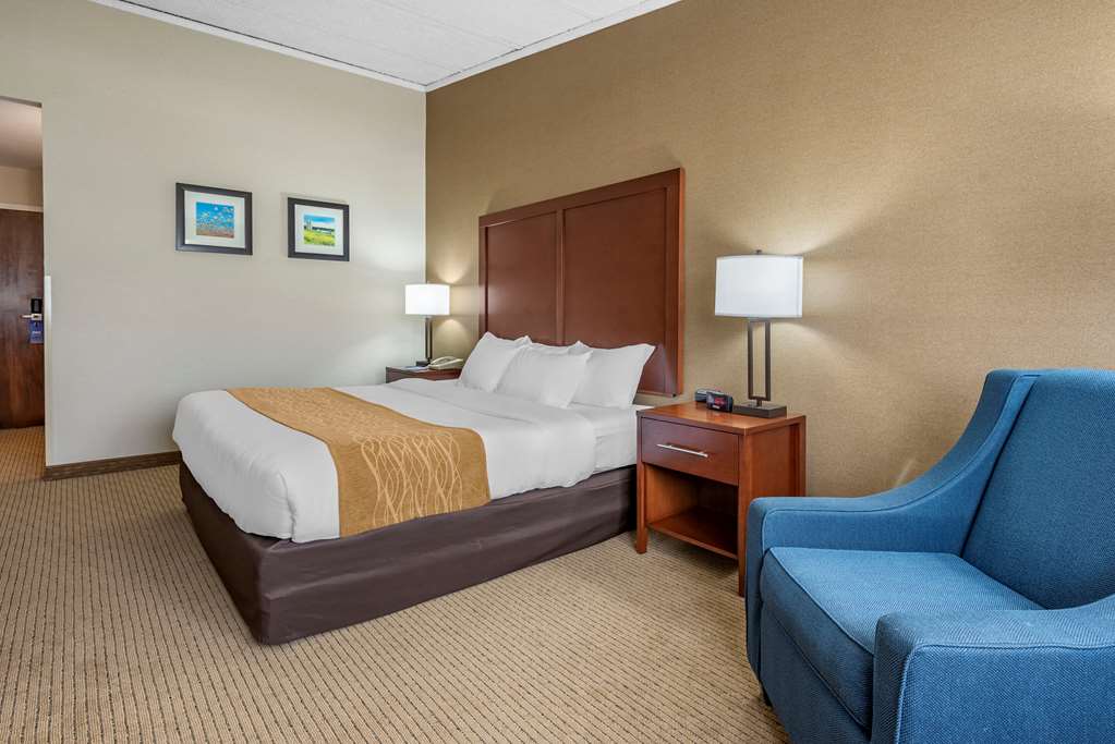 Comfort Inn Lancaster County North - photo 8