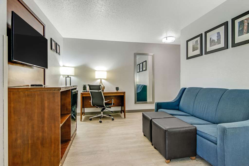 Comfort Suites near I 80 and I 94 - photo 31