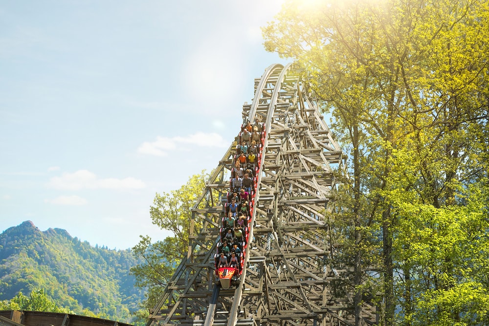 Residence Inn Pigeon Forge - photo 45