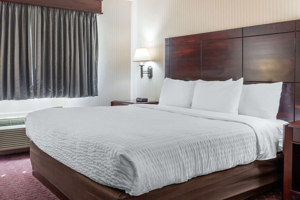 Wintergreen Hotel & Conference Center - photo 14