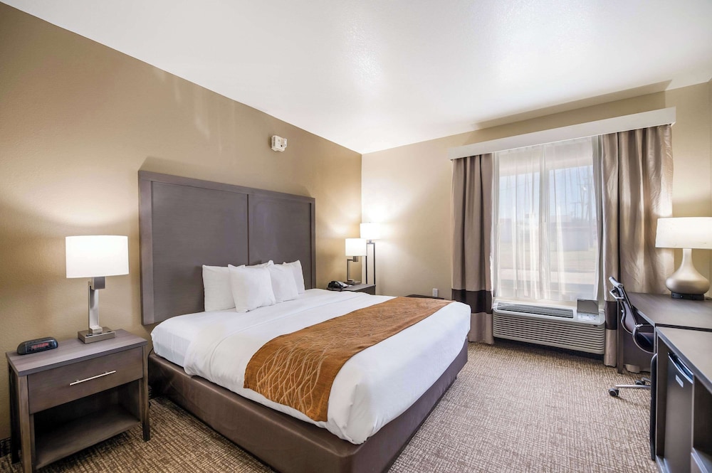 Comfort Inn Bossier City Casino Area near Shreveport Downtown - photo 5