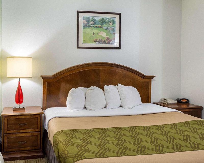 Stonewood Inn & Suites of Carrollton Smithfield - photo 13