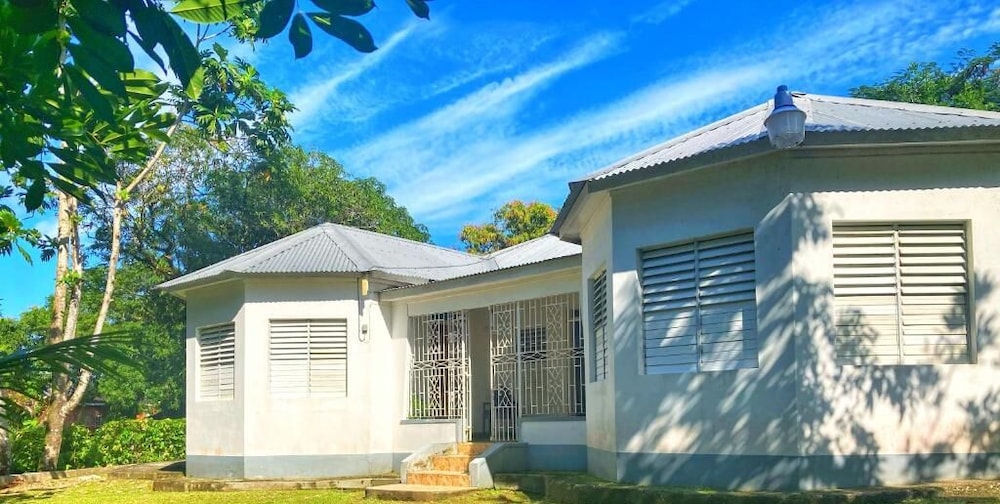 Areca Palms — hotel in Port Antonio
