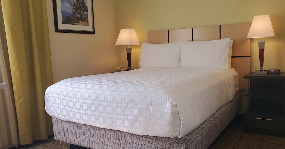 Candlewood Suites Houston Medical Center - photo 9