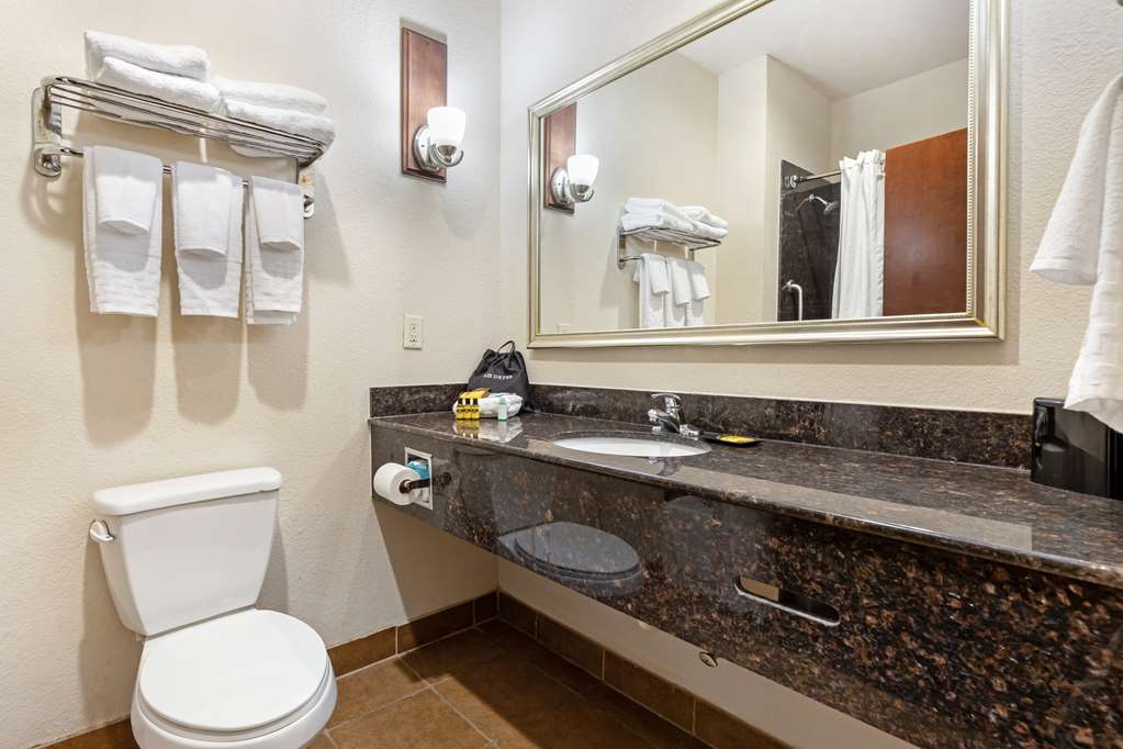 Best Western Plus Greenville South - photo 29