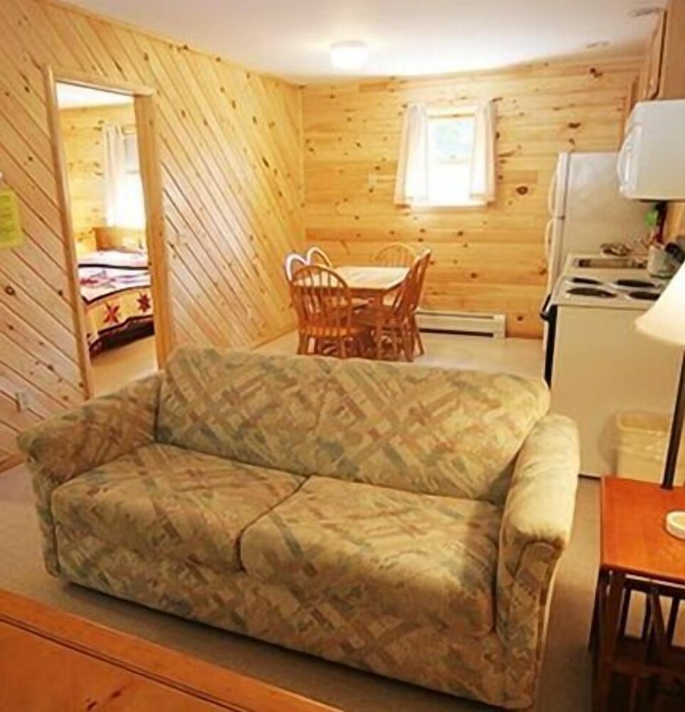 Lee's Motel and Cottages - photo 11