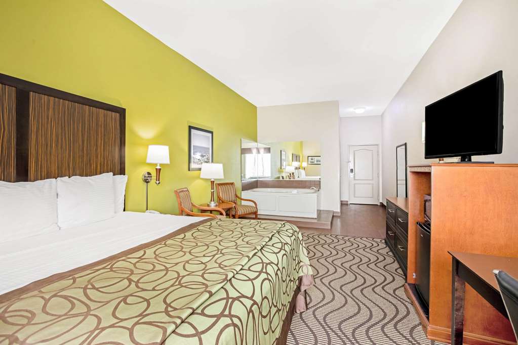La Quinta Inn & Suites by Wyndham Corpus Christi Airport - photo 24
