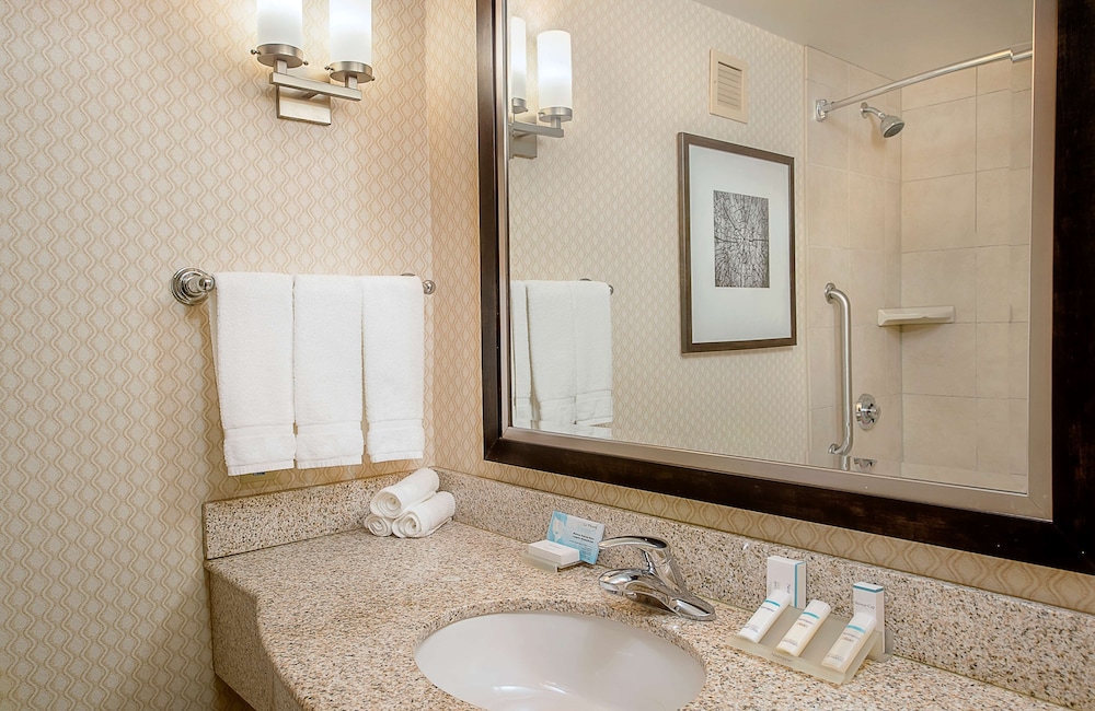 Hilton Garden Inn St. Louis Airport - photo 33