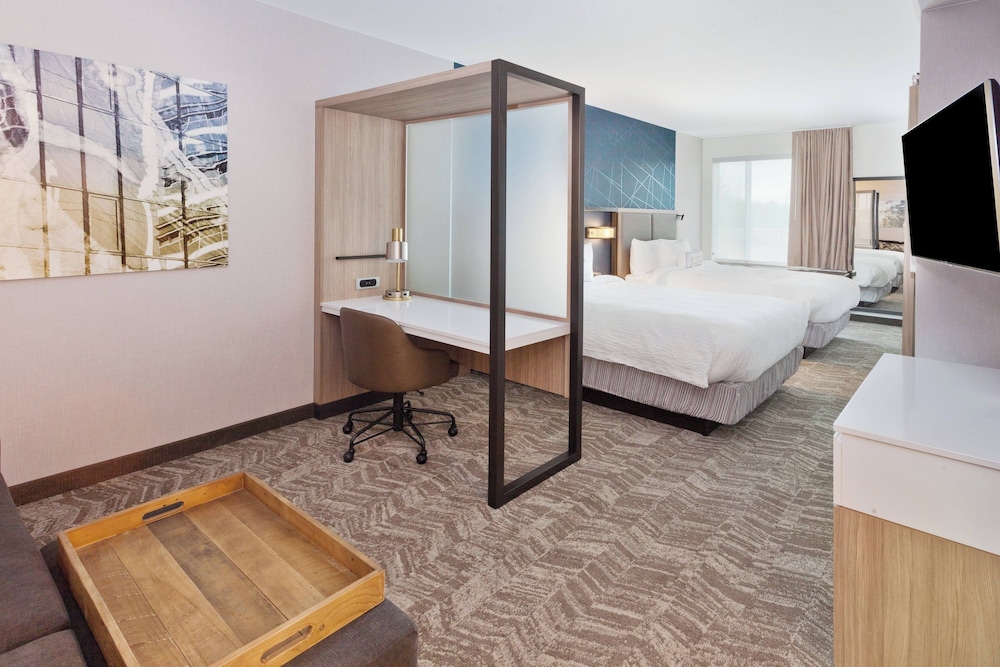 SpringHill Suites by Marriott Montgomery Prattville Millbrook - photo 13