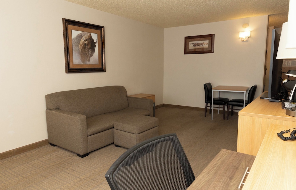 Holiday Inn Spearfish Convention Center by IHG - photo 22