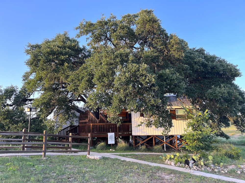 The Alexander at Creek Road - photo 276
