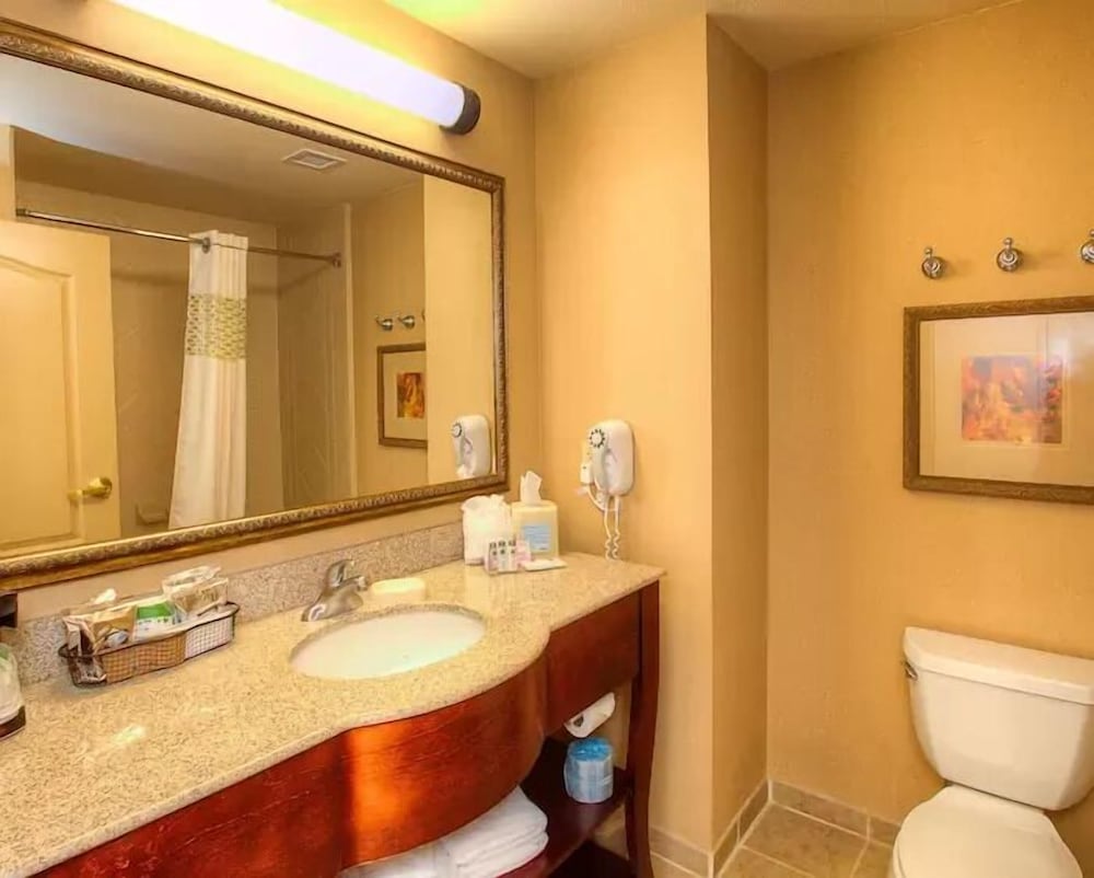 Hampton Inn & Suites Mountain Home - photo 14