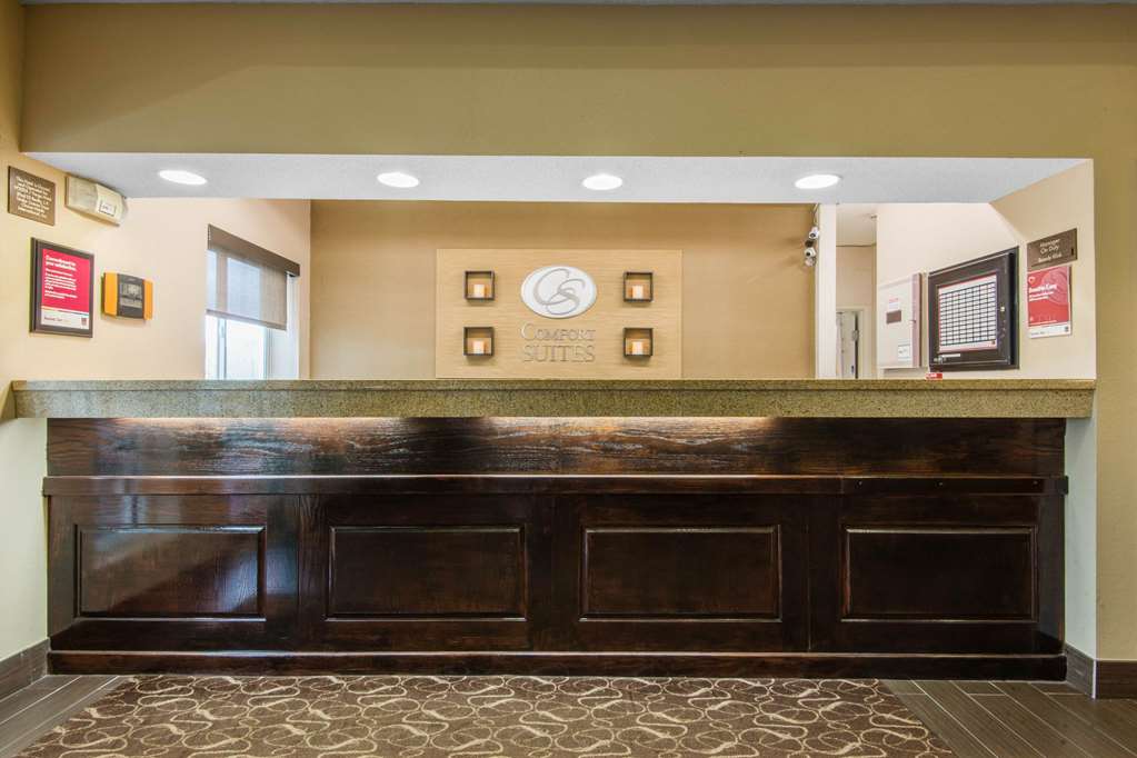 Comfort Suites Rochester Henrietta University Area - photo 6