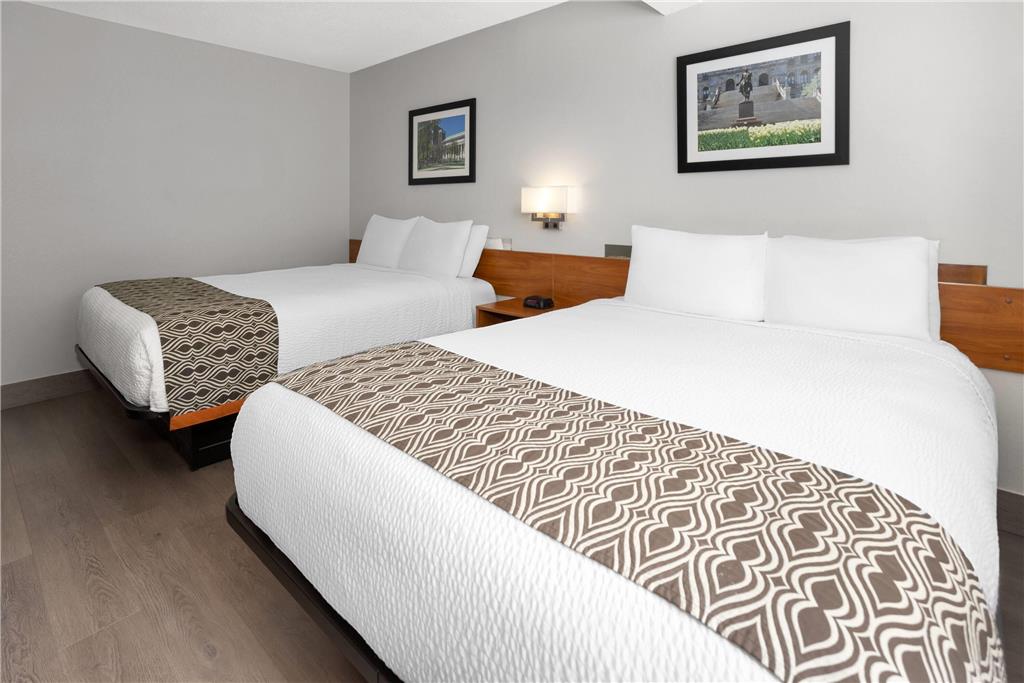 Microtel Inn by Wyndham Albany Airport - photo 13