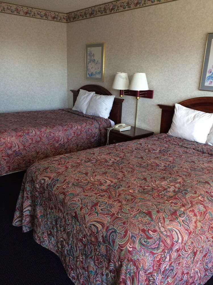 All Day Inn - photo 8