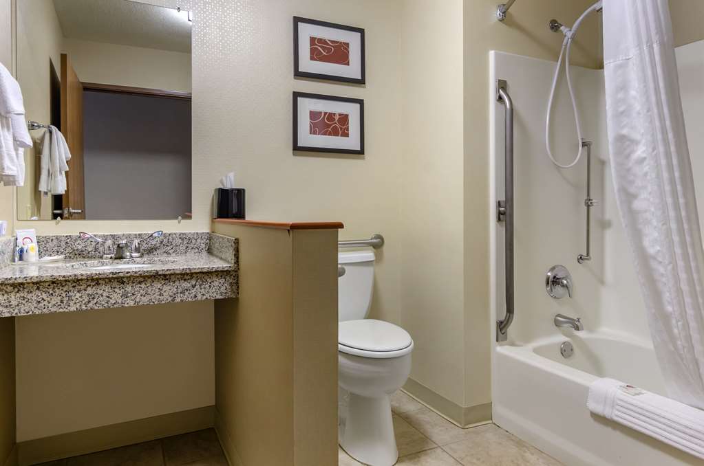 Comfort Inn Bozeman near University - photo 20