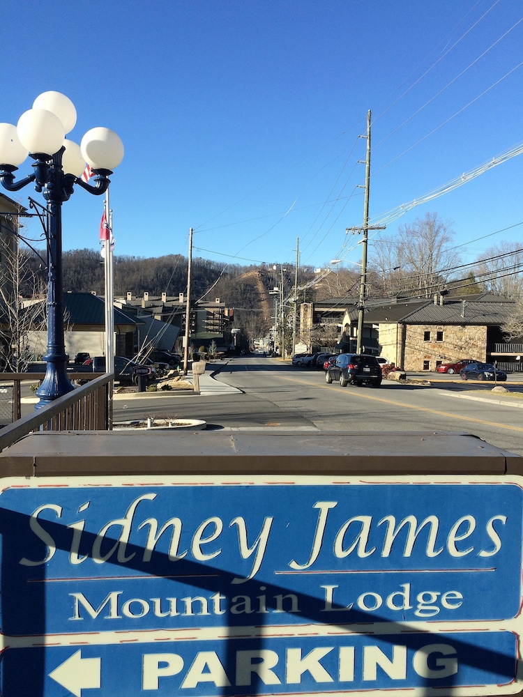 Sidney James Mountain Lodge - photo 80