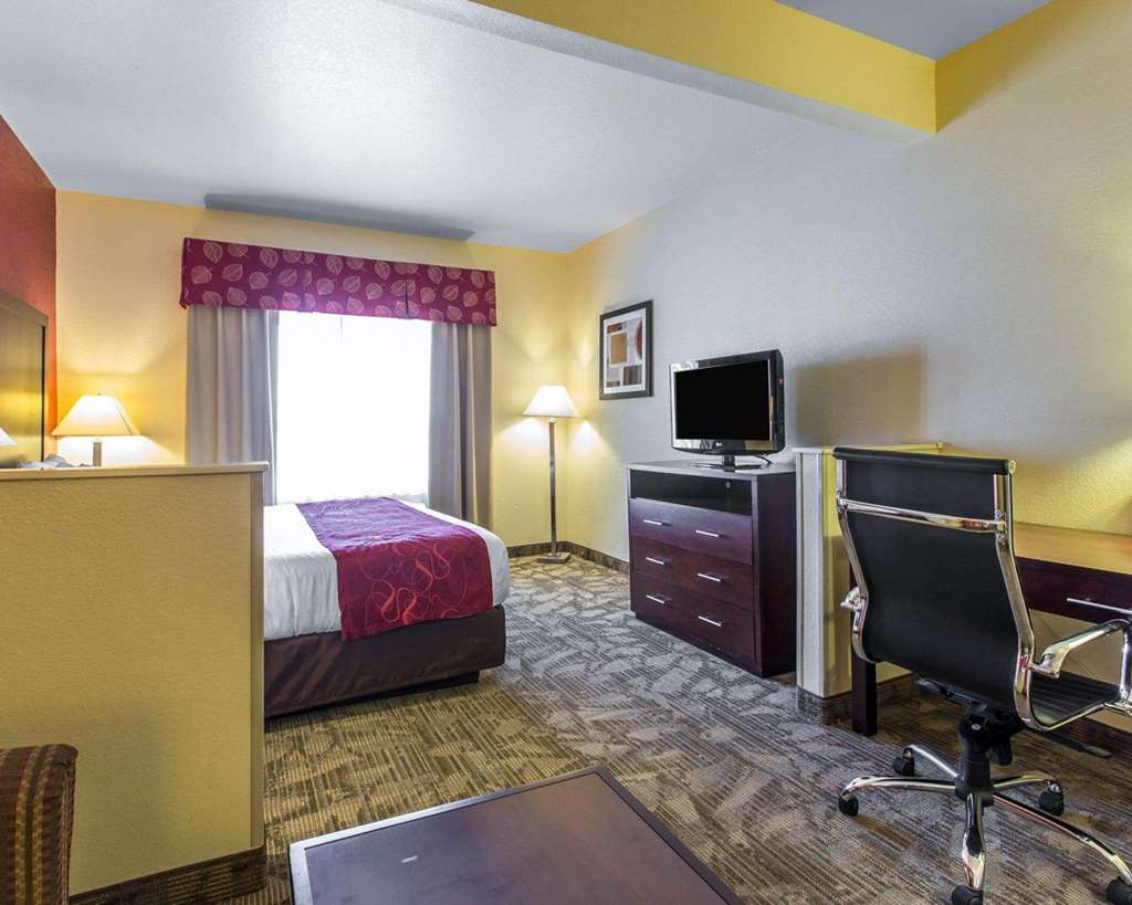 Comfort Suites Palm Desert I 10 - photo 29