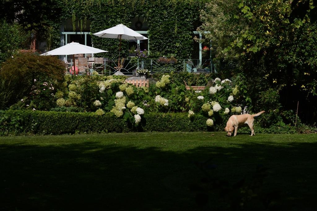 La Roseraie — 5-Star Luxury Hotel in Tournai, Belgium