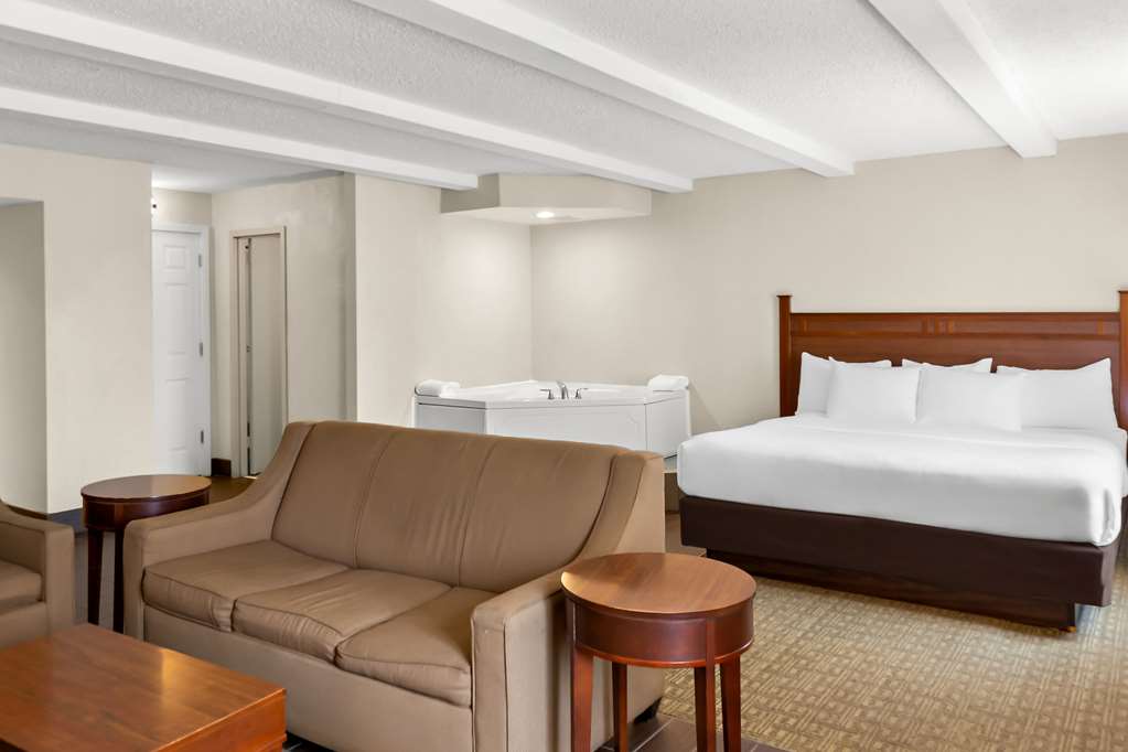 Comfort Inn St. Louis Westport Event Center - photo 27
