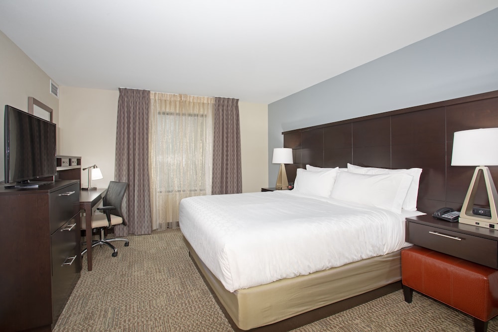 Staybridge Suites Denver South Highlands Ranch an IHG Hotel - photo 7