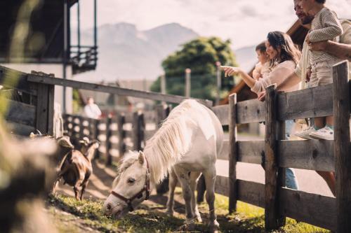 Garberhof Dolomit Family — Rasun Anterselva - Rasen-Antholz — photo 4