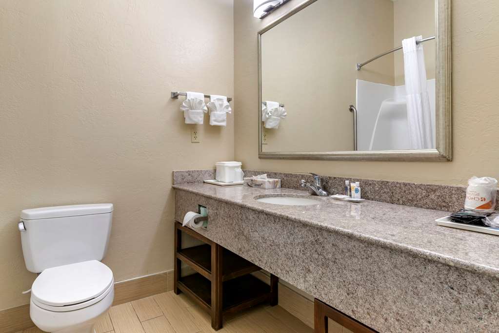 Comfort Inn & Suites Statesboro University Area - photo 21