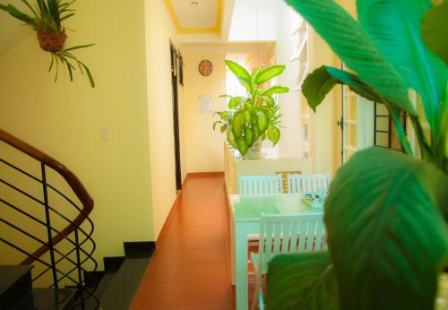 Suboman Hotel - carbon neutral hotel in Chengdu
