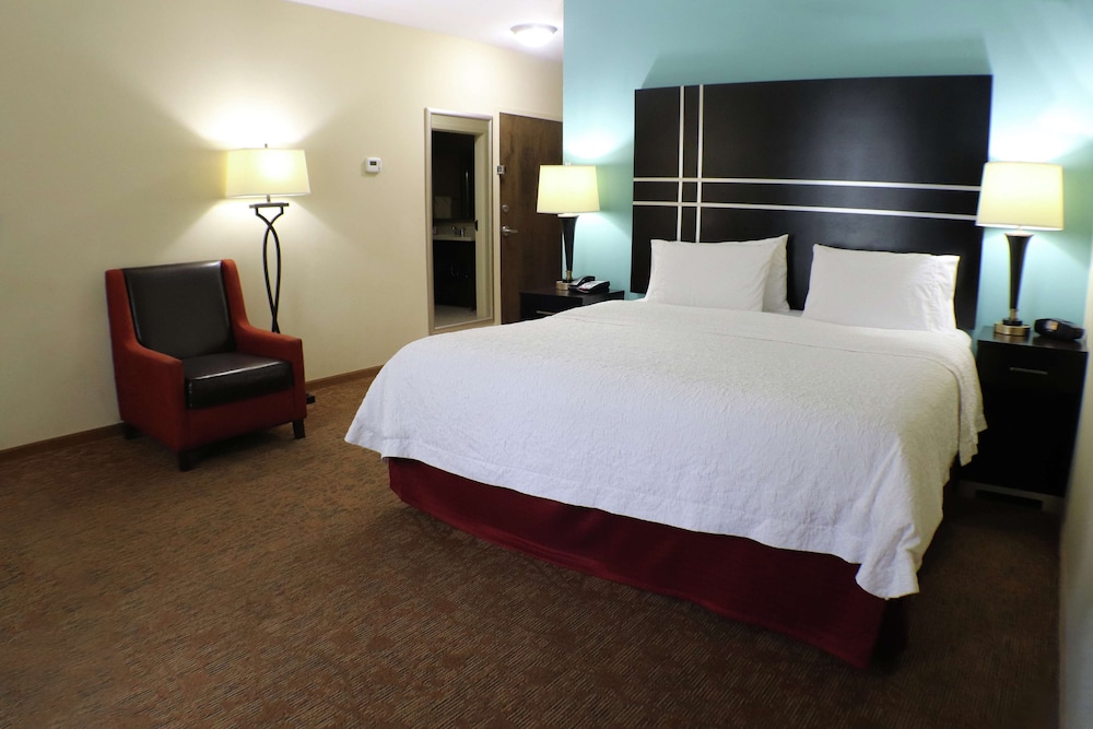 Hampton Inn Austin Oak Hill - photo 8