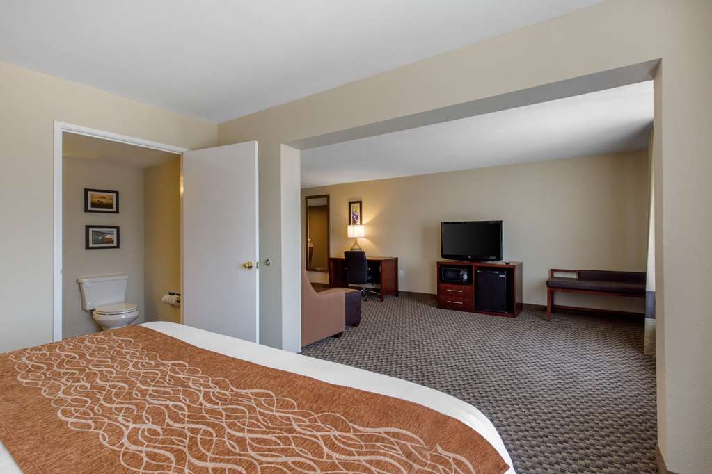 Comfort Inn & Suites SW Houston Sugarland - photo 19