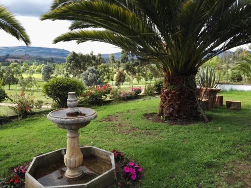Cabaña Nido Verde — 4-Star Luxury Hotel in Iza, Colombia