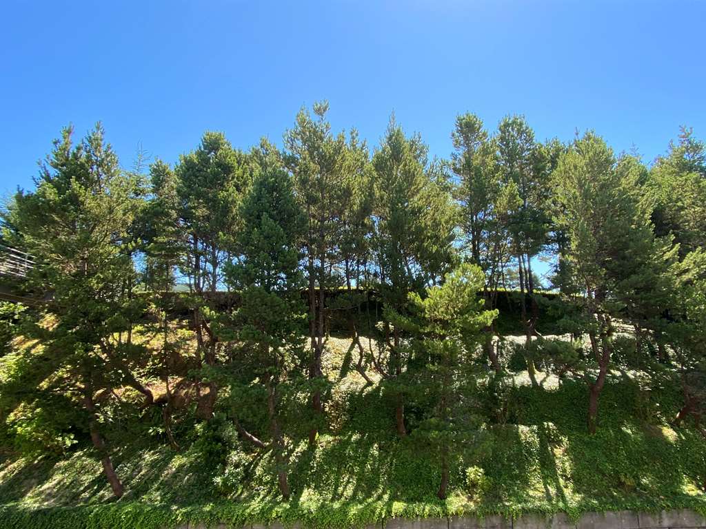 Best Western Plus Agate Beach Inn - photo 34