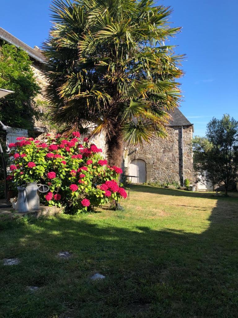 Magnifique Longere du Cotentin - last minute hotel in Unknown City