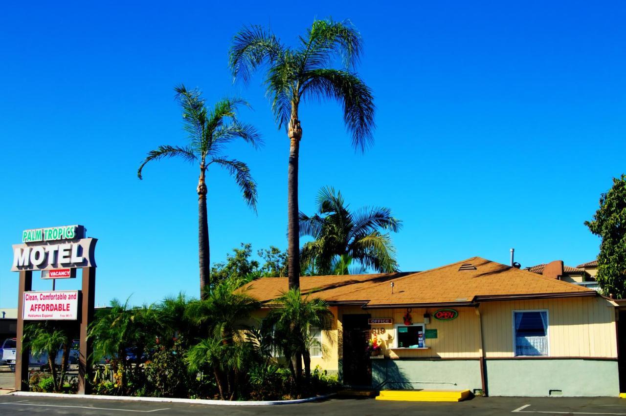 Palm Tropics Motel - photo 13