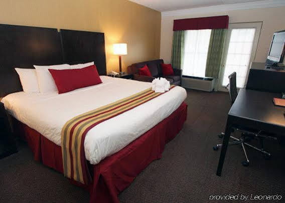 Black Bear Inn & Suites - featured photo