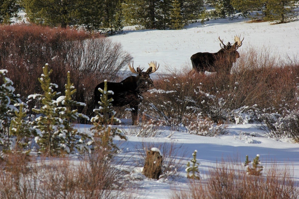Sugar Loaf Lodge & Cabins - featured photo