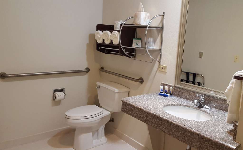 Best Western Plus O'Hare International South Hotel - photo 12