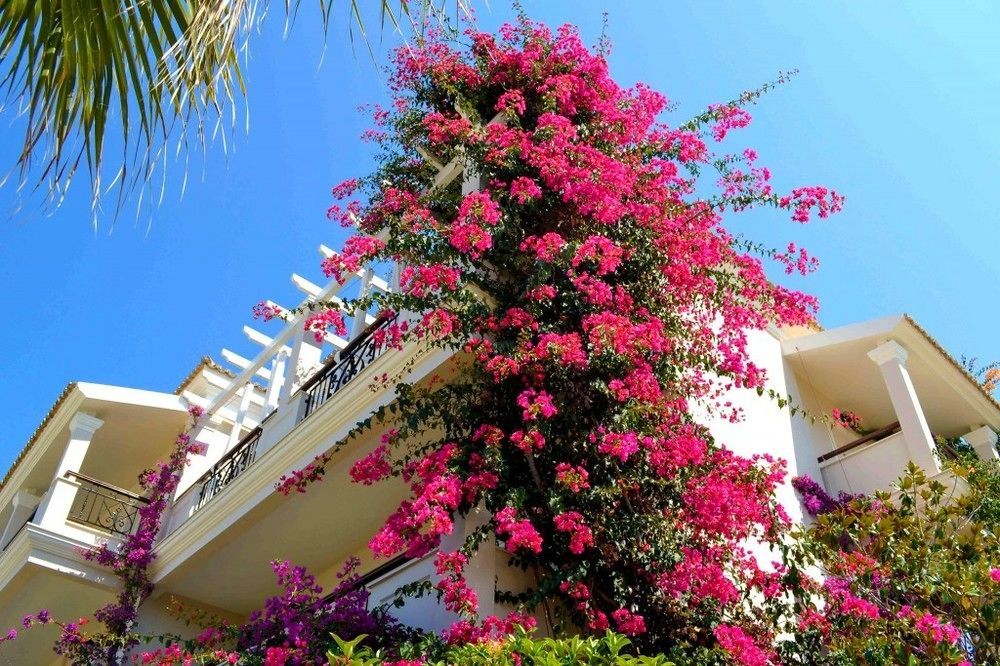 Delfino Blu Boutique Hotel in Corfu, Greece