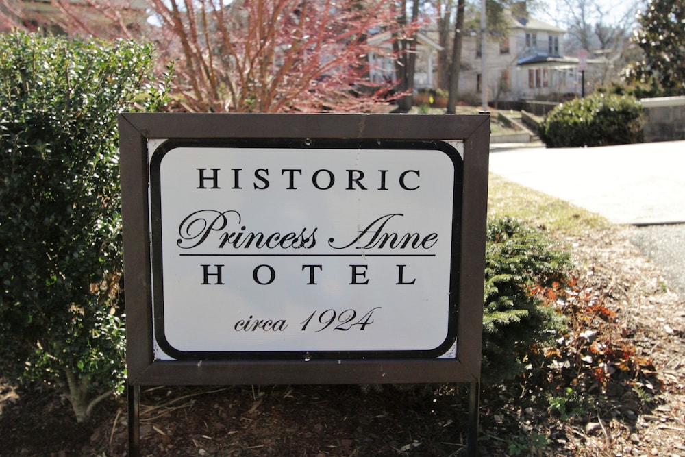 Princess Anne Boutique Hotel - photo 51