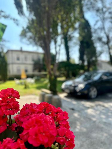 Dori Affittacamere in San Lorenzo, Italy