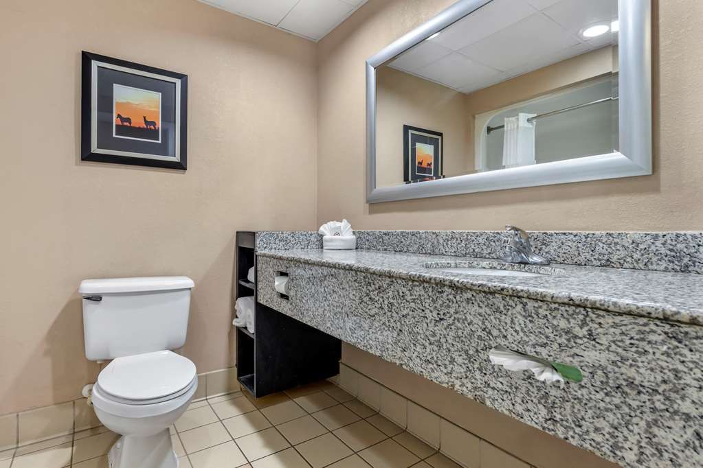 Comfort Inn & Suites Asheboro East - photo 16