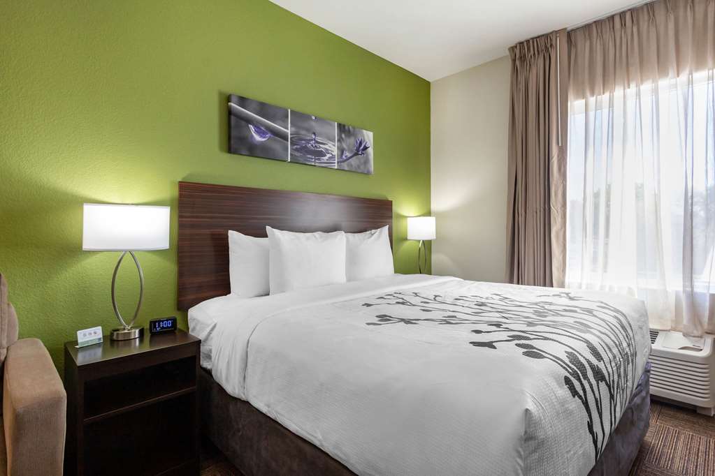 Sleep Inn & Suites Tampa South - photo 33