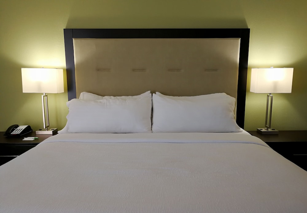 Holiday Inn Corpus Christi Downtown Marina by IHG - photo 7